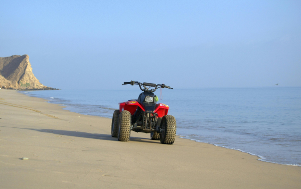 Web Images (11)-1