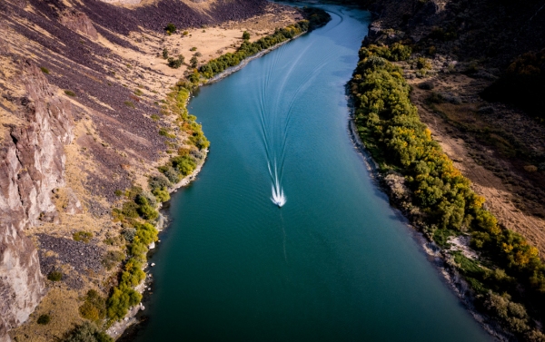 Community Involvement